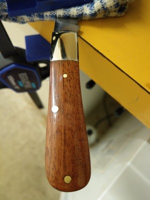IMAG0453.jpg