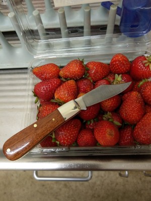 IMAG0457.jpg