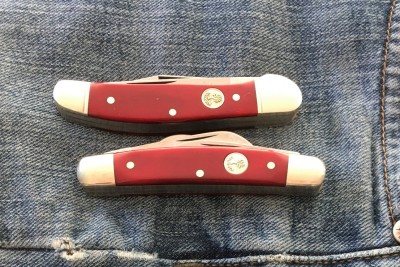 EDC482.jpg
