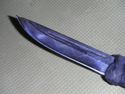 DSCF8279.JPG