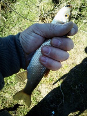 IMG_20210303_164107_210.jpg
