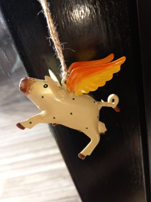 IMAG0089.jpg