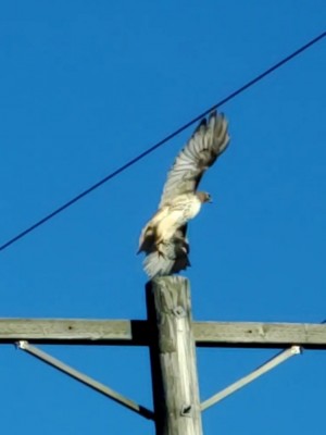 20210303_162211_capture.jpg