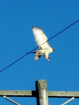 20210303_162211_capture(0).jpg