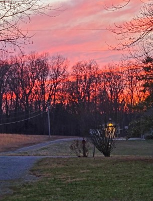 20210302_175231.jpg