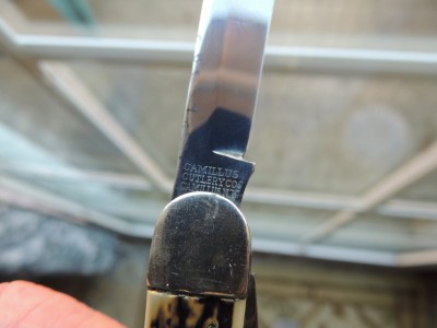 DSCN6909.JPG