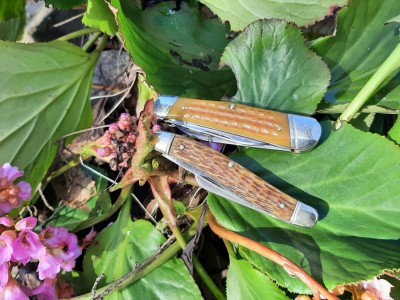 Case  63046 whittler - Schrade 895 stockman