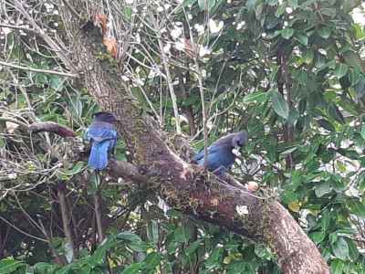 thumbnail_20201119_110319.jpg