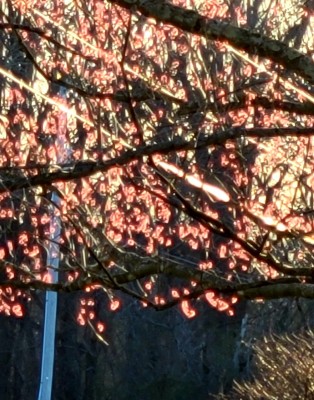 20210310_165842.jpg
