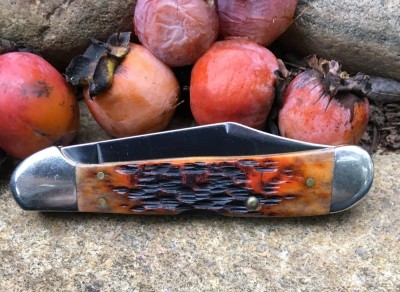 persimmon.jpg
