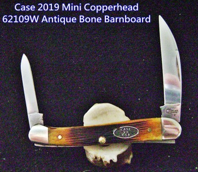 Case 2019 Mini Copperhead 62109W Antique Bone Barnboard - Labeled.JPG