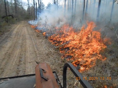 This fire on the north is slowly burning into the wind as the south side is fired and runs with the south wind toward the already burned north side.