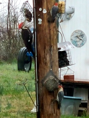 20210319_072742.jpg