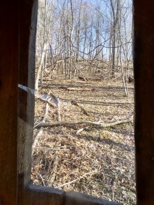 IMG_20210320_165325989_HDR.jpg