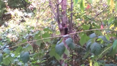 WP_20180907_134.jpg