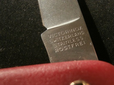 P3230006.JPG