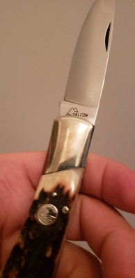 20210325_203509.jpg