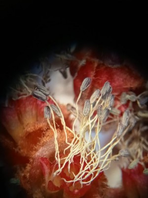 20210324_155733_HDR.jpg