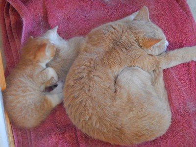 DSCN4863.JPG