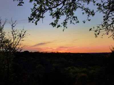 Sunset - 3-29-2021.jpg
