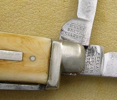 IMGP0911.JPG