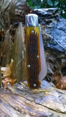 WP_20180323_019.jpg