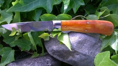 WP_20170519_034.jpg