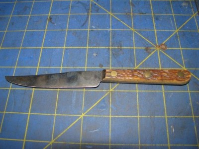 UnmarkedBoneHandledParingKnife2019-1.JPG