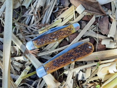 thumbnail_20210330_112408.jpg