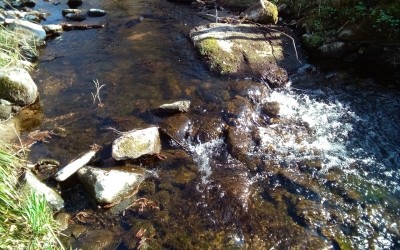 IMG_20210402_165408_650.jpg