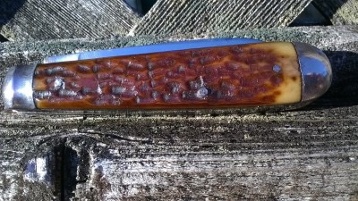 WP_20180311_091.jpg