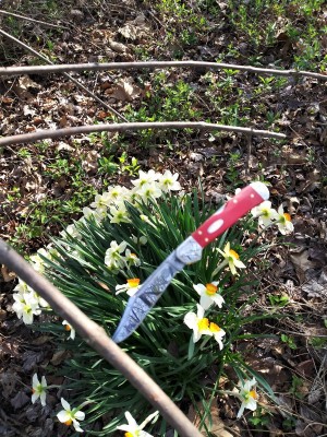 Spring Mini CopperLock.jpg