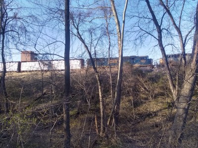 IMG_20210402_181343873_HDR.jpg