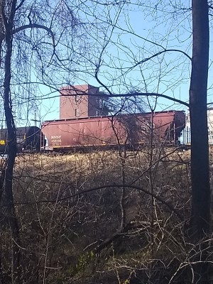 IMG_20210402_180626261.jpg
