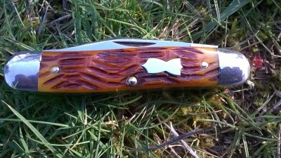 WP_20180301_057.jpg