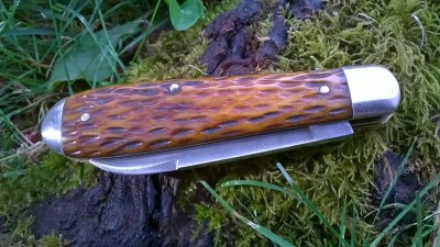 WP_20180914_055.jpg