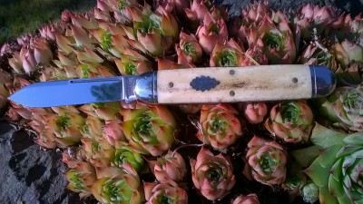 WP_20180906_006.jpg