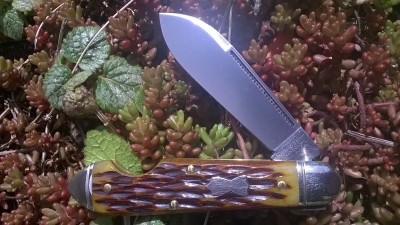 WP_20170428_030.jpg
