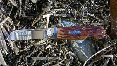WP_20170103_004.jpg