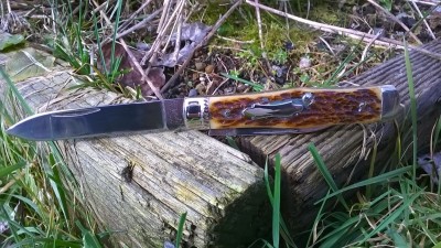 WP_20170216_008.jpg