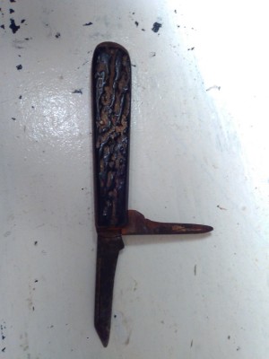 KIMG1668.JPG