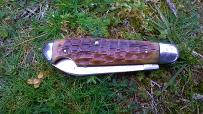 WP_20180430_005.jpg
