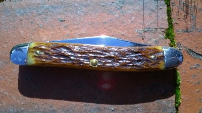 WP_20180130_008.jpg
