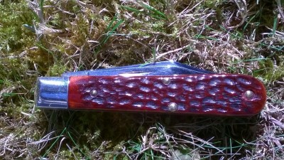 WP_20171005_017.jpg
