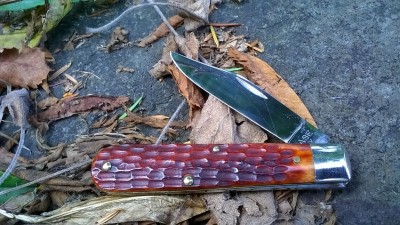 WP_20170925_033.jpg