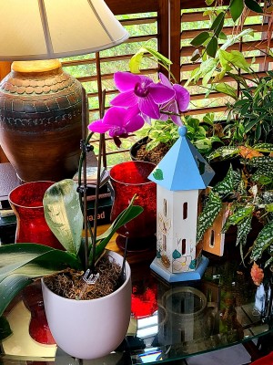 20210414_163811.jpg