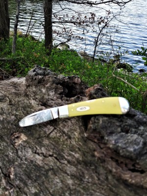 TB by the creek.jpg
