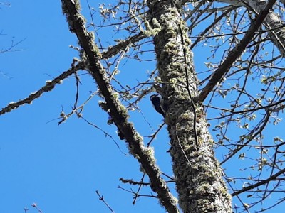 thumbnail_20210415_093302.jpg
