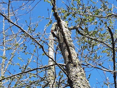 thumbnail_20210415_093513.jpg