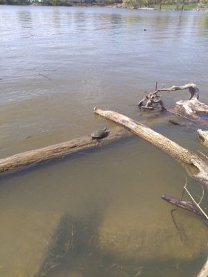 2021-04-17_11-02-45_-_hiking.jpg